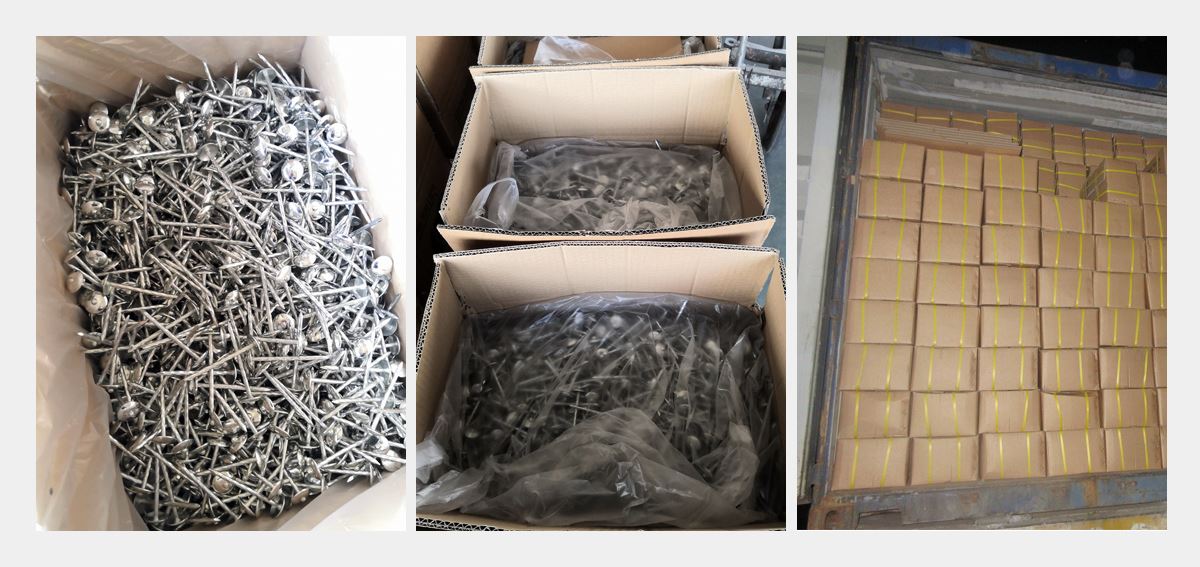 Stainless Steel Roofing Nails-Hebei Sinostar-4 Stainless Steel Roofing Nails-Hebei Sinostar-4